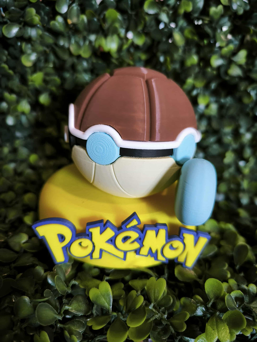 Pokéball Carapuce