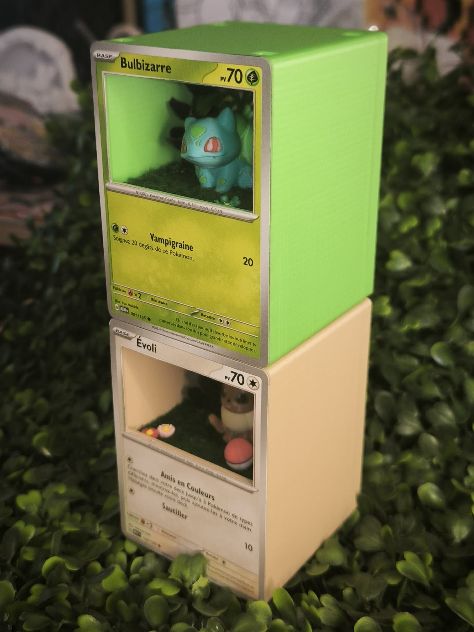 Diorama carte Carapuce