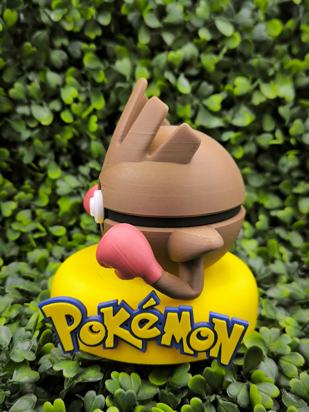Pokéball Tygnon