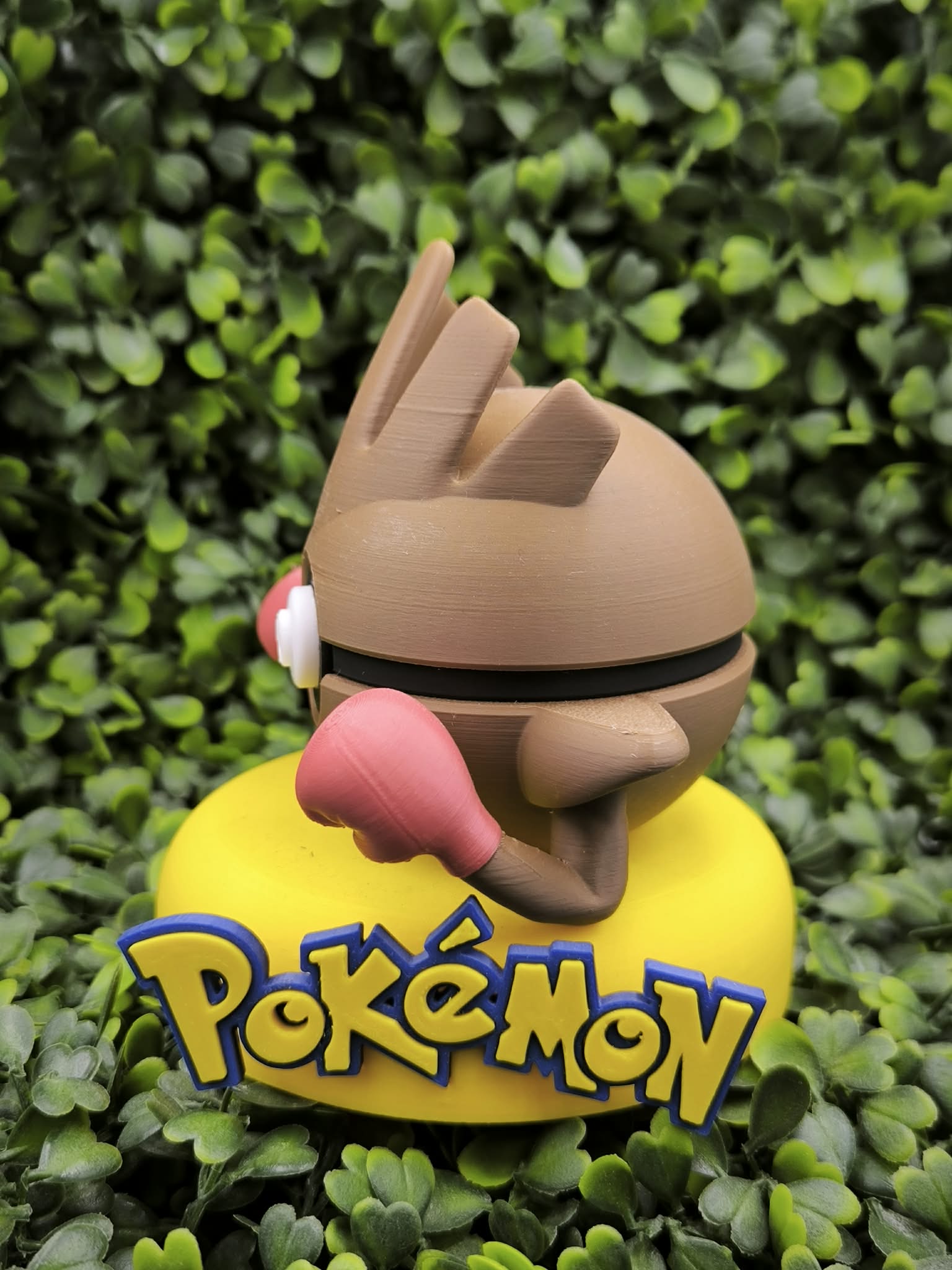 Pokéball Tygnon