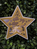 Etoile de Noël
