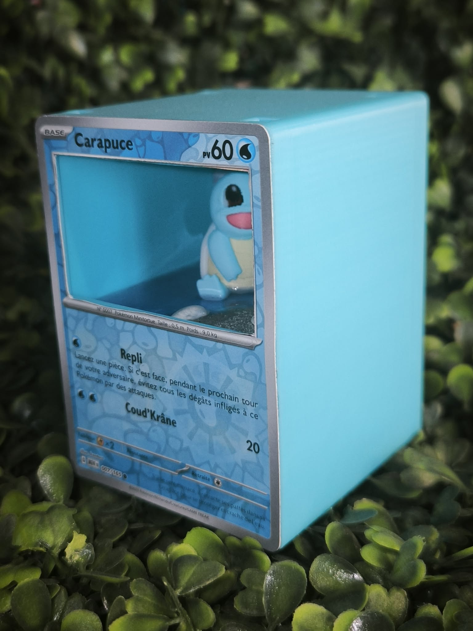 Diorama carte Carapuce