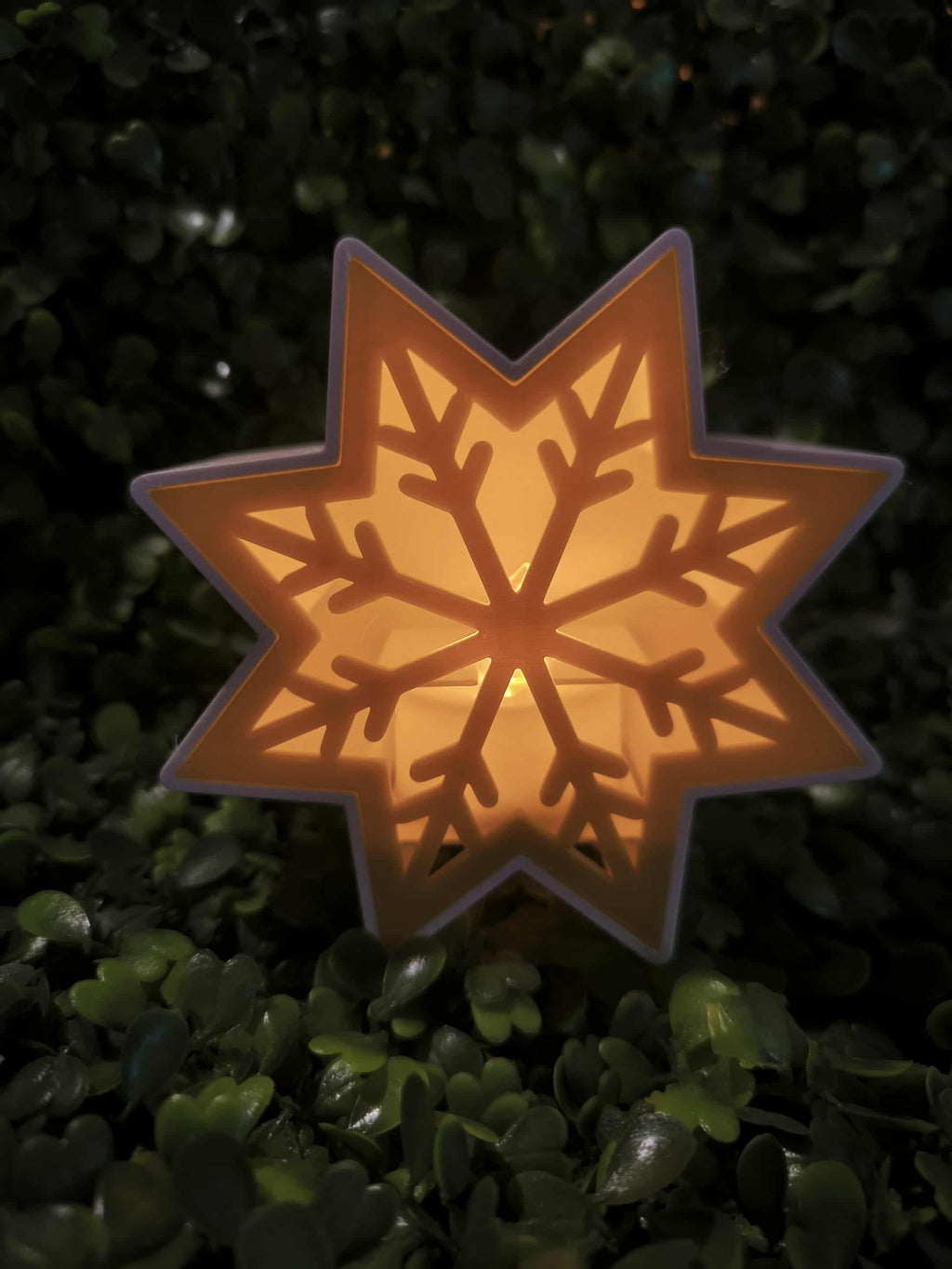 Flocon de Noël