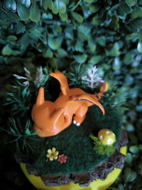 Diorama Dracaufeu