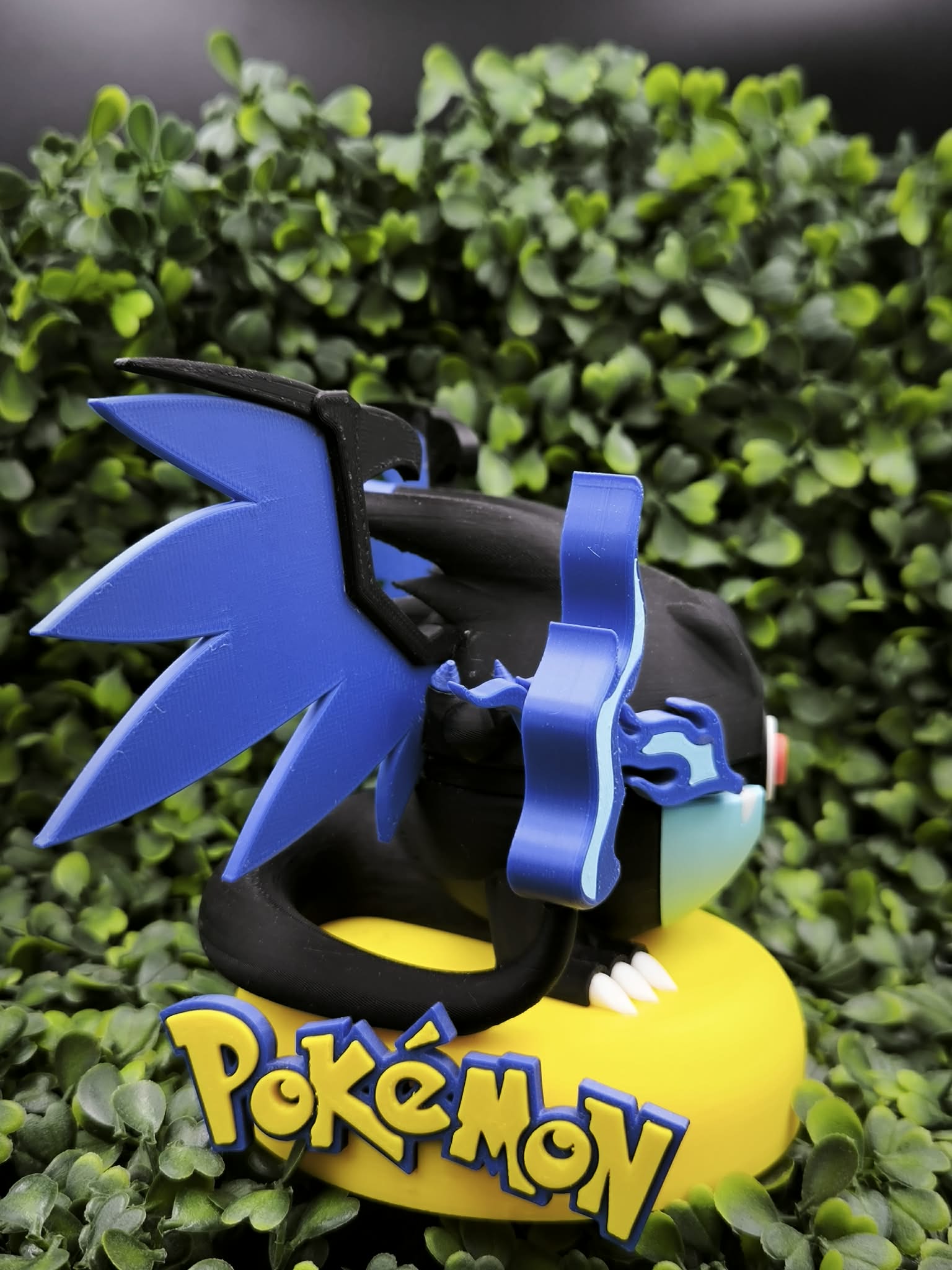 Pokéball Méga dracaufeu X