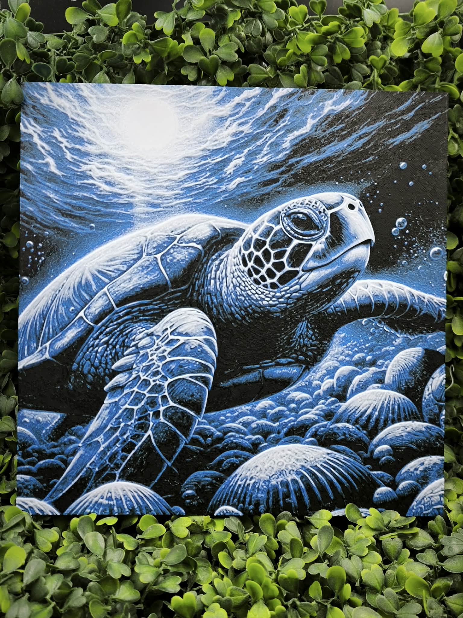 Hurforge Tortue