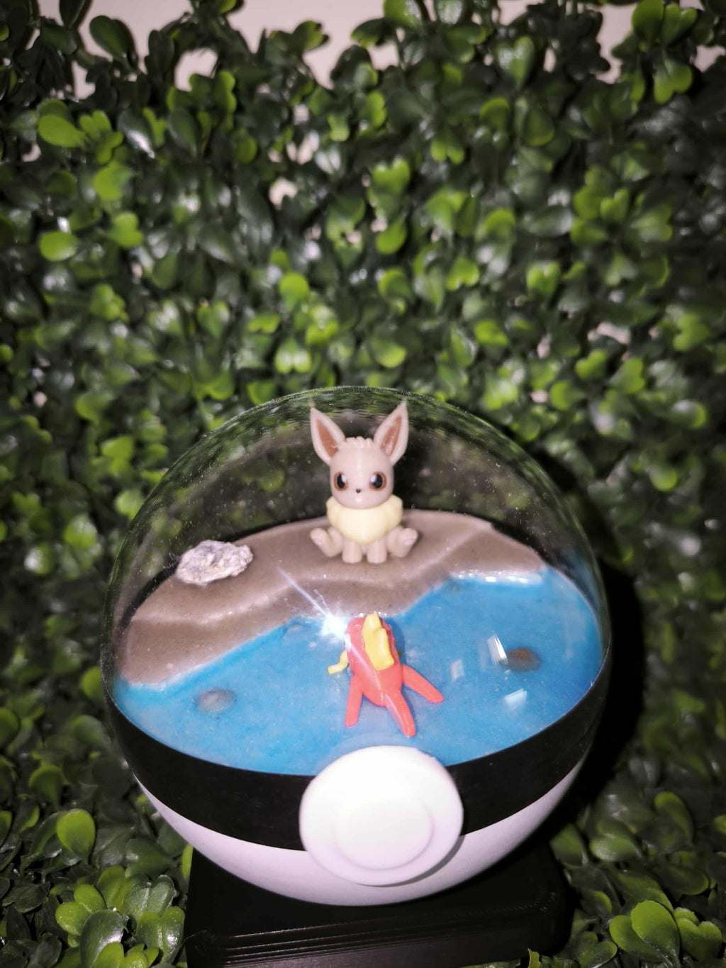 Diorama évoli et magicarpe