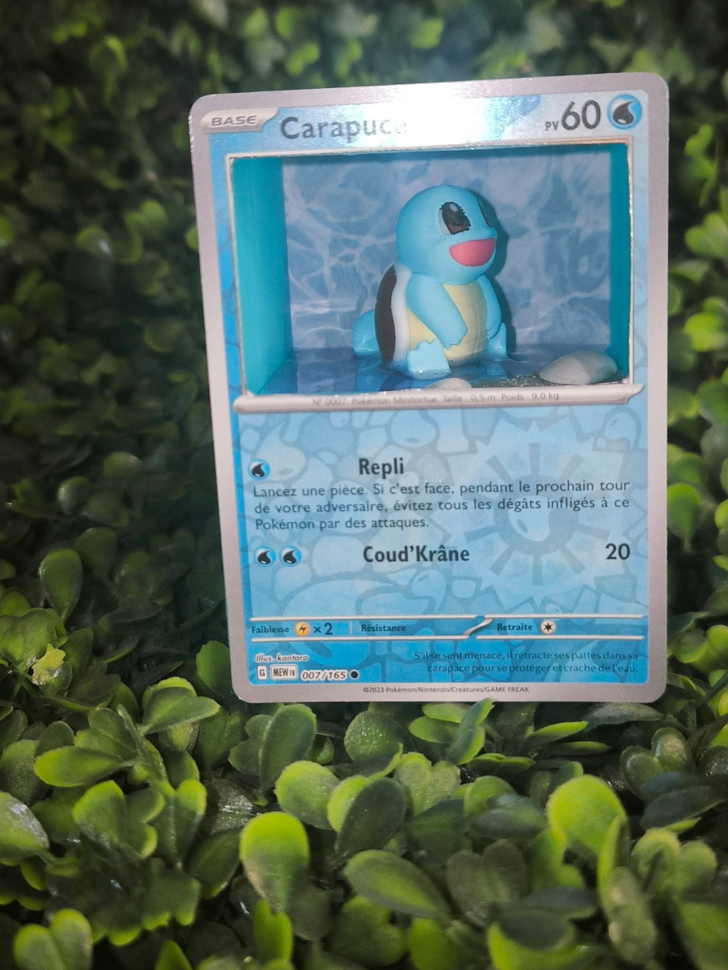 Diorama carte Carapuce