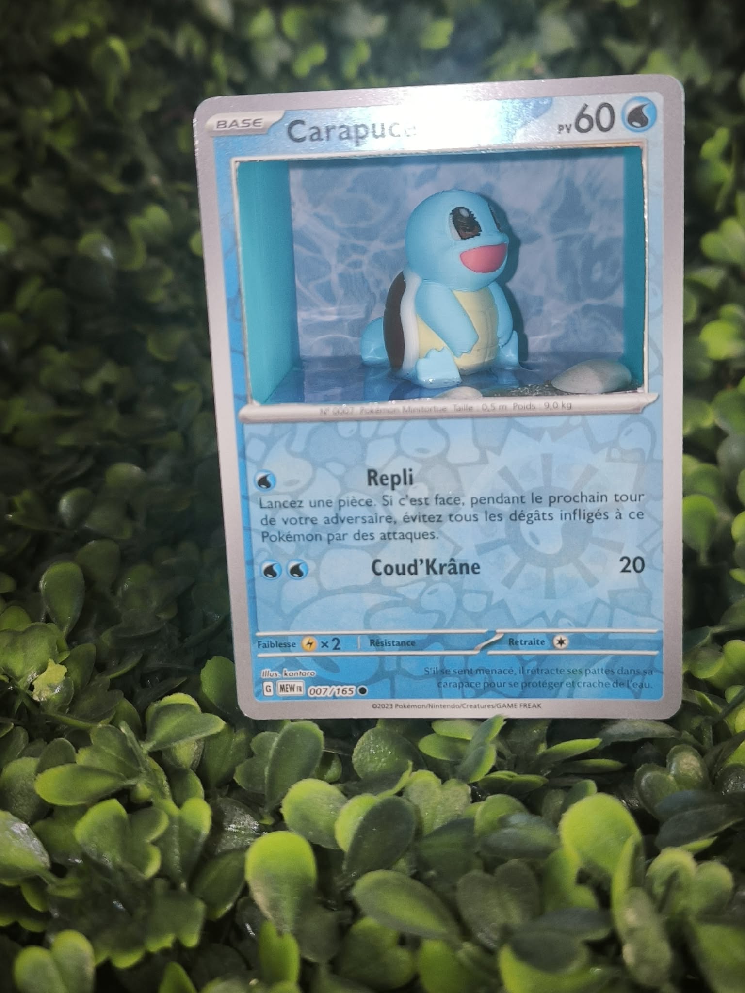 Diorama carte Carapuce