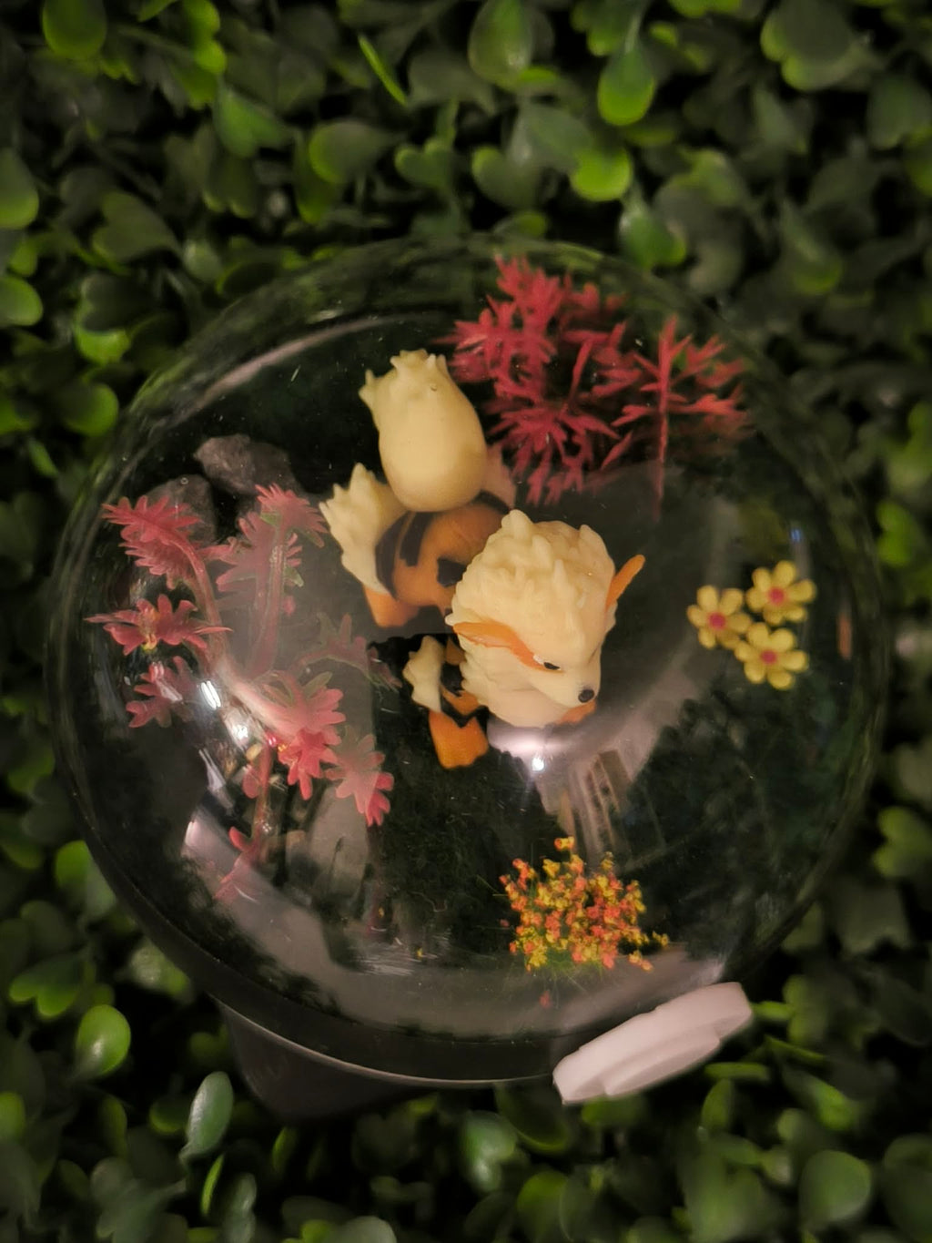 Diorama Arcanin