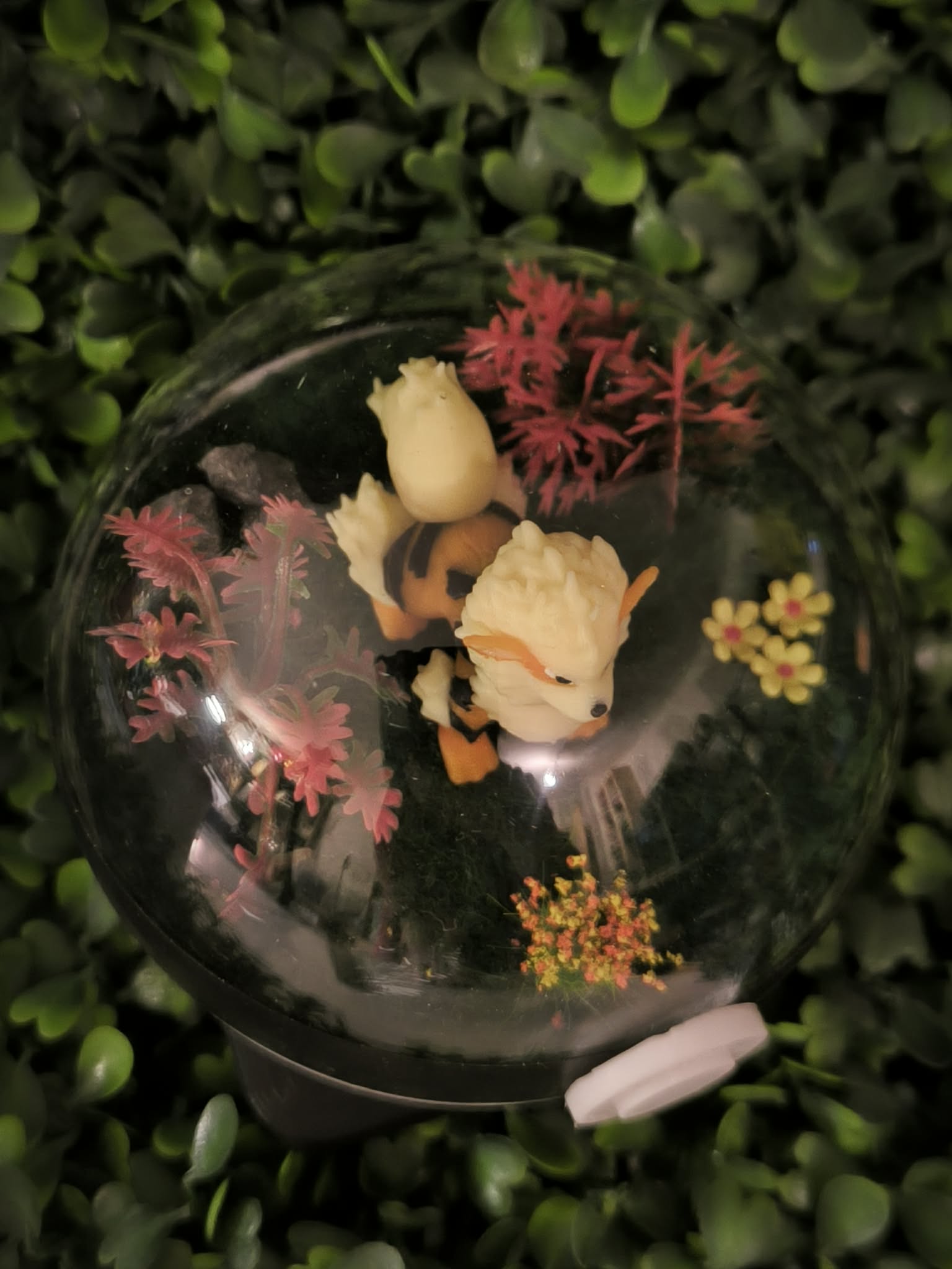 Diorama Arcanin