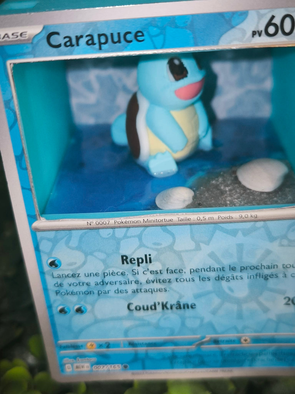 Diorama carte Carapuce