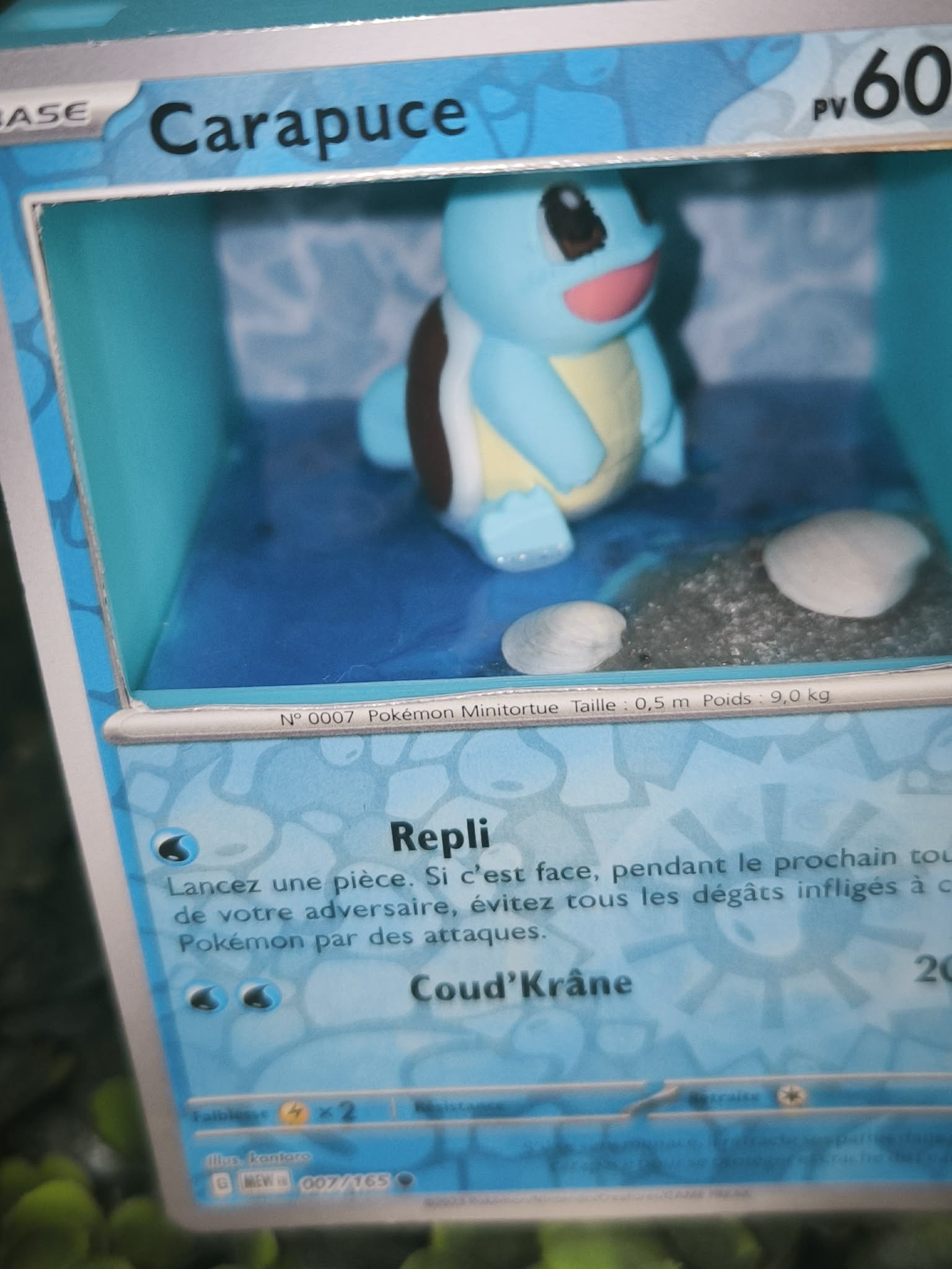 Diorama carte Carapuce