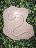Fossile Draco